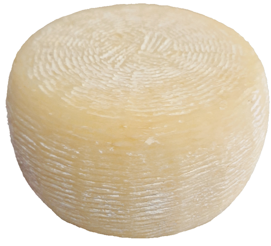 FORMAGGIO PECORINO LOCALE CASEIFICIO SARACENO STAG. 60gg 1KG