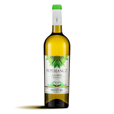 SPADAFORA VINO PEPEBIANCO BIANCO IGP 75cl