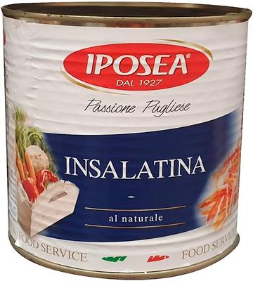 GRECI INSALATINA AL NATURALE LATTINA 2,5kg